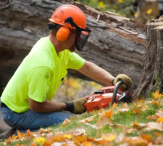 tree services Clarks